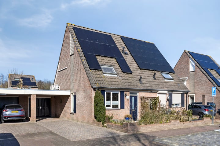 Wisboom 10 in Berghem foto