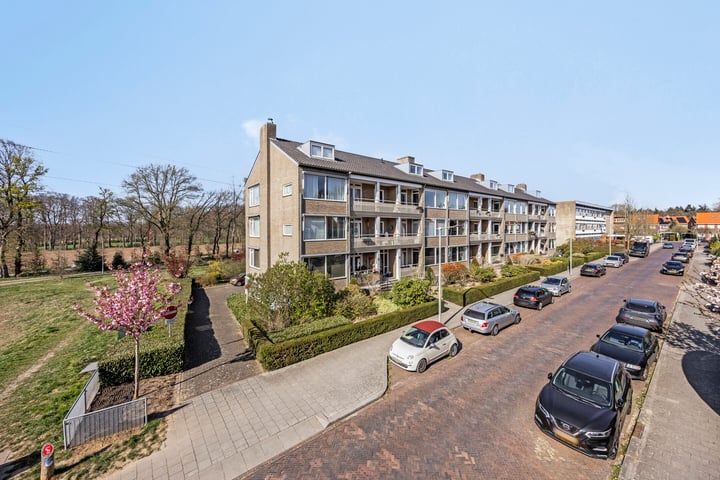 Witsenstraat 14-3 in Arnhem