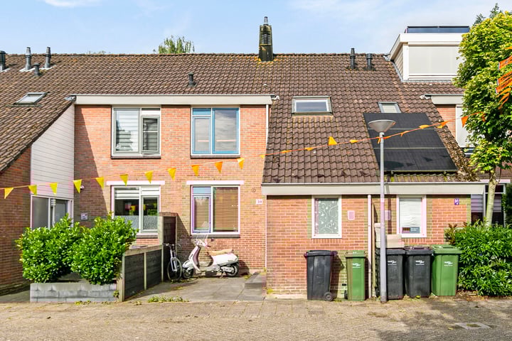 Witte Klaver 30 in Rotterdam foto