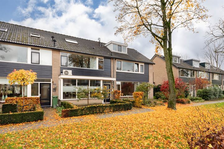 Wittenburg 191 in Nijkerk foto