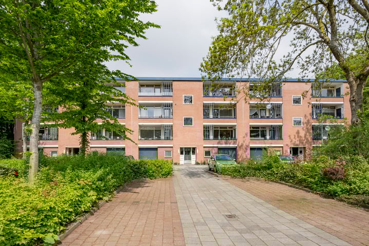 Wittenburg 9 in Nijkerk foto