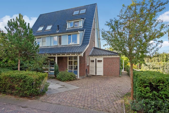 Wollegras 102 in 's-Gravenhage foto