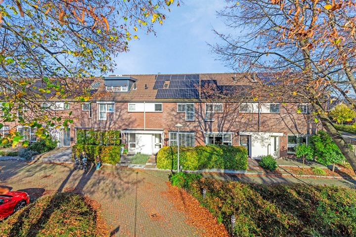 Wollegras 11 in Reeuwijk foto