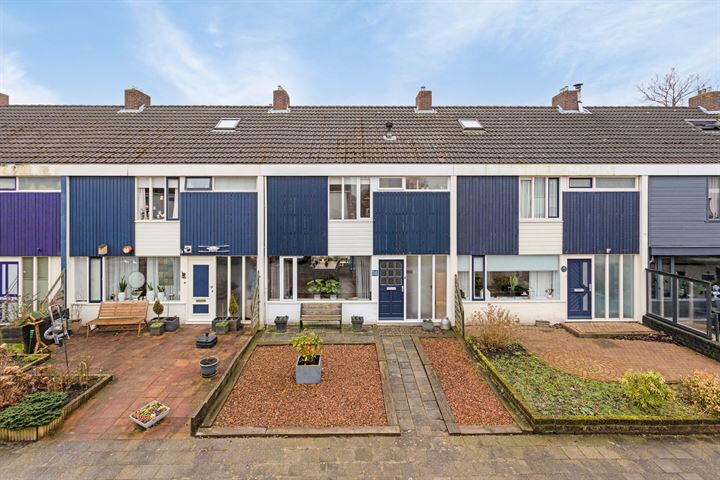 Wylster 16 in Dokkum foto