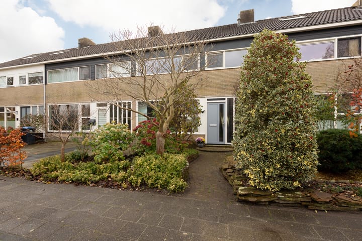 Ylostinslaan 50 in IJlst