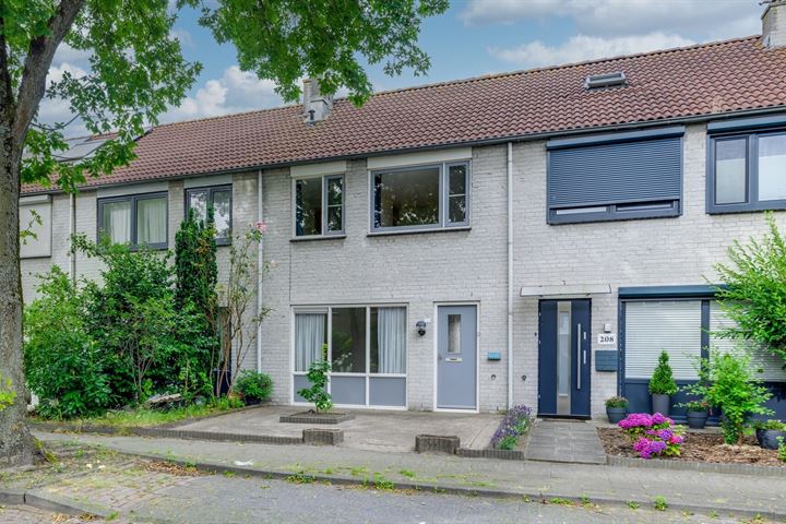 Zaaren 210 in Rijen foto