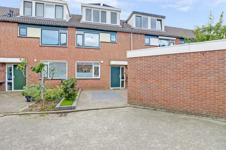 Zalmforel 5 in Leiden foto