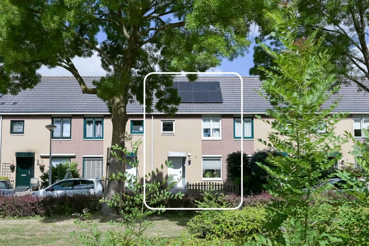 Zambiapark 24 in Alphen aan den Rijn foto