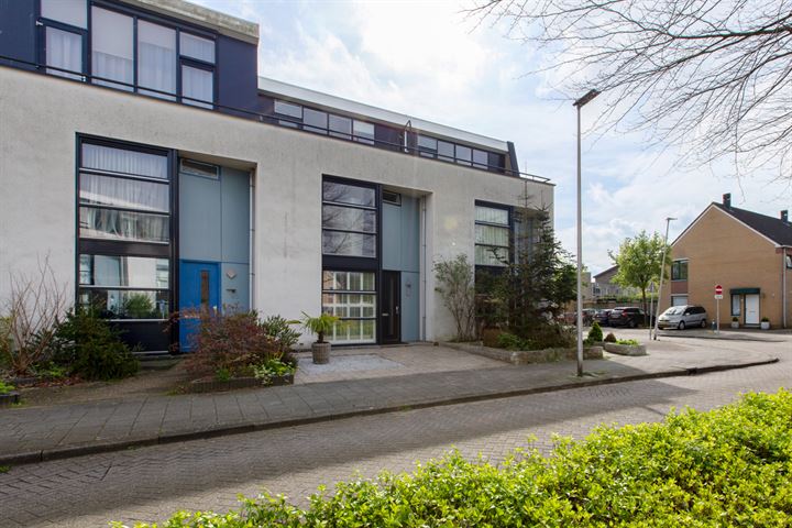 Zambiapark 5 in Alphen aan den Rijn foto