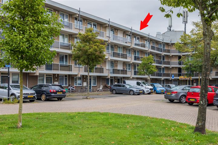 Zandbank 39 in Noordwijk foto