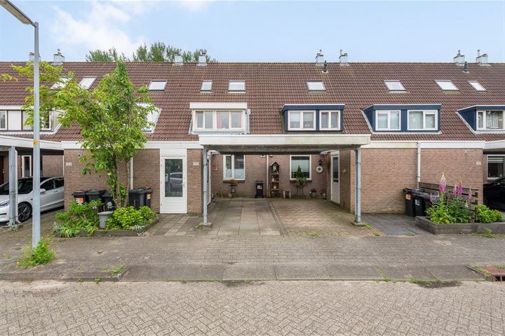 Zandbos 101 in Hoofddorp foto