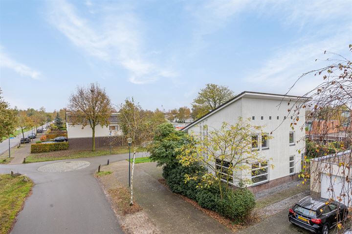 Zandhagedis 22 in Eindhoven foto