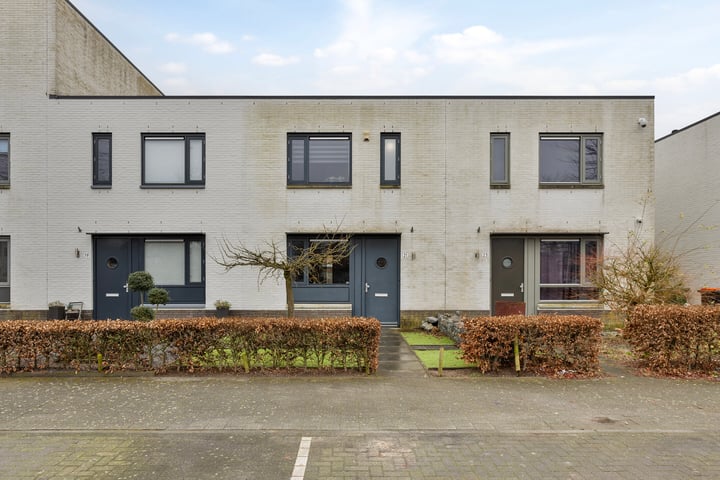 Zandloopkever 21 in Son en Breugel foto