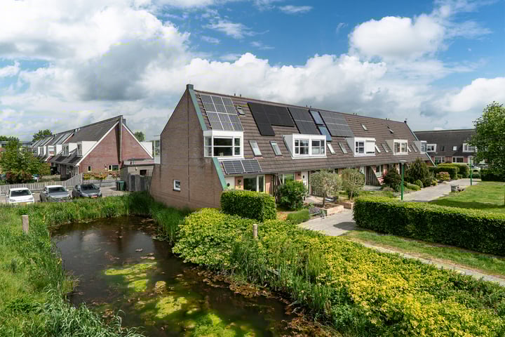 Zandoogje 1 in Sneek