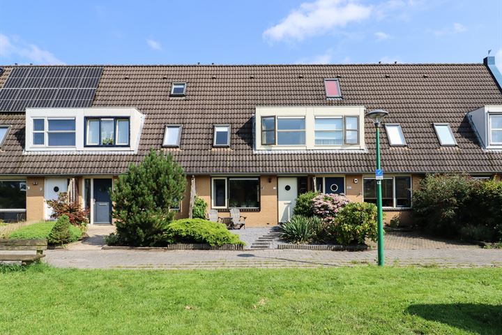 Zandoogje 11 in Sneek foto