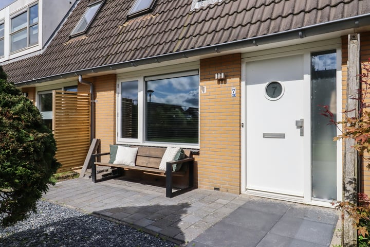 Zandoogje 7 in Sneek