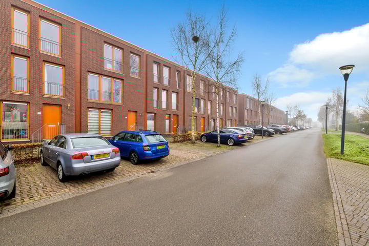 Zandreiger 13 in Eindhoven foto