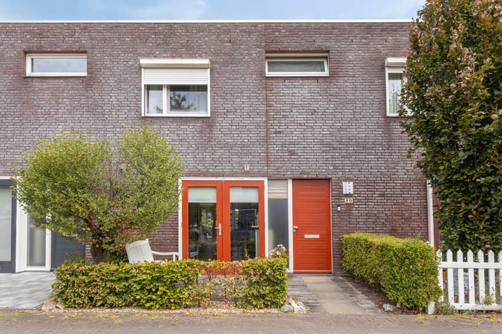 Zandroos 30 in Eindhoven foto