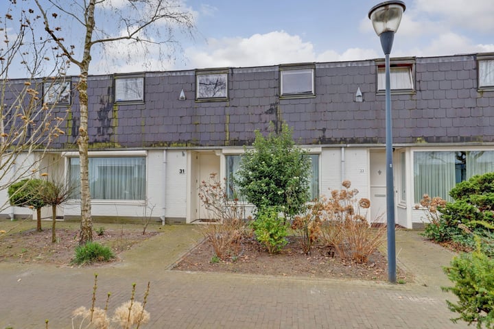 Zandtong 31 in Eindhoven foto