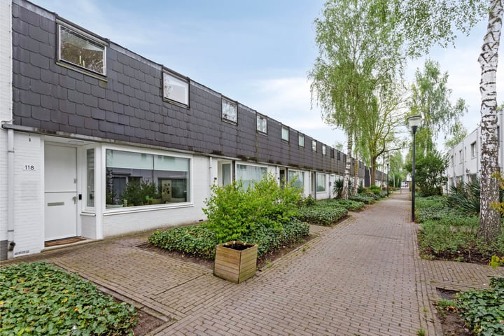 Zandvis 118 in Eindhoven foto