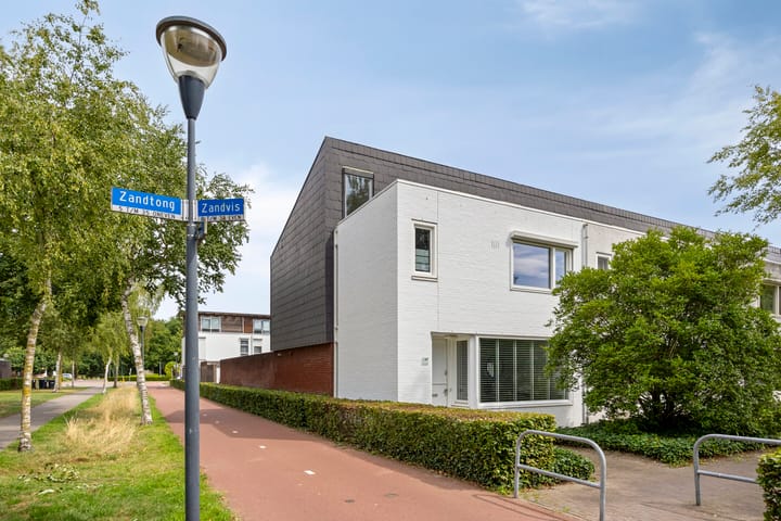 Zandvis 22 in Eindhoven