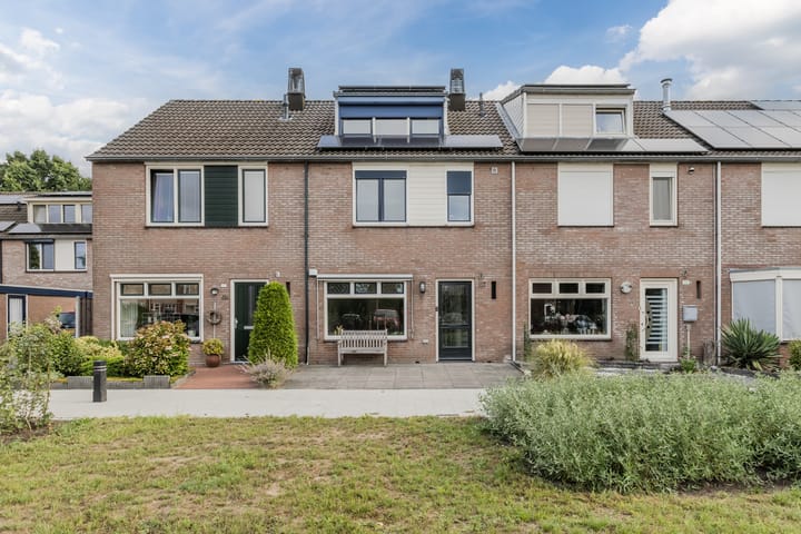 Zanglijster 117 in Bunschoten-Spakenburg foto