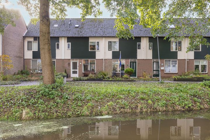 Zanglijster 14 in Venhuizen foto