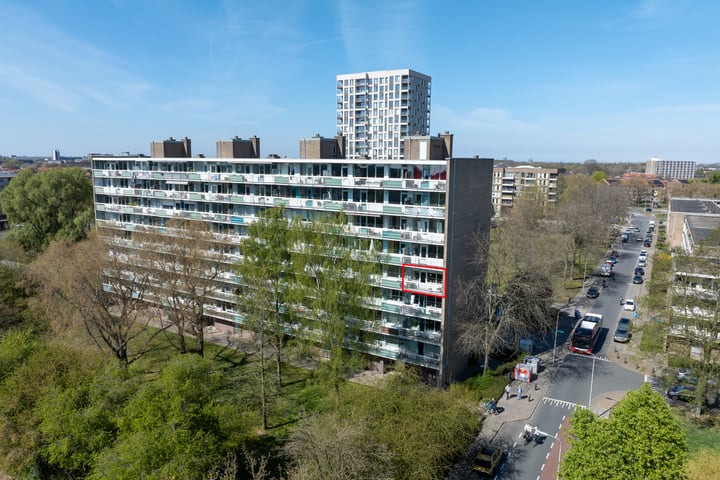 Zangvogelweg 18 in Amersfoort foto