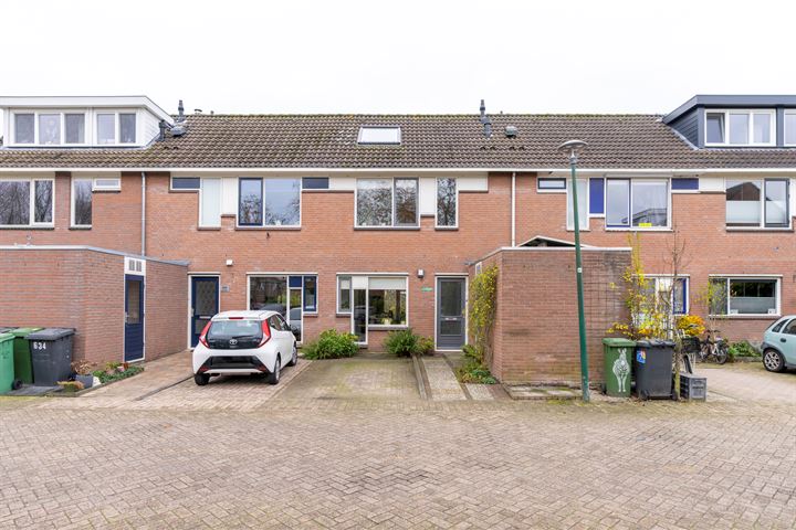 Zebraspoor 633 in Maarssen foto