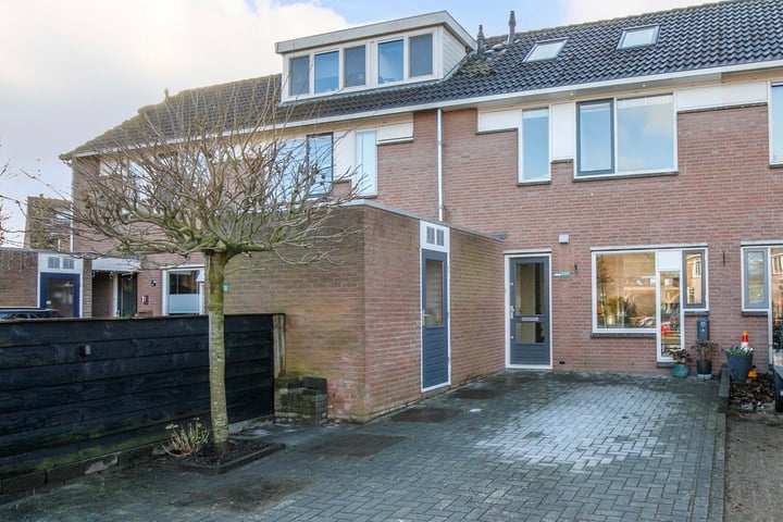 Zebraspoor 699 in Maarssen foto
