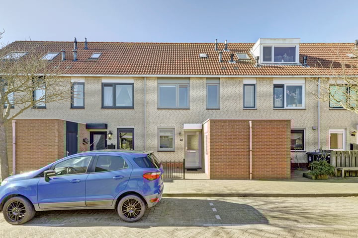 Zeearend 20 in Monster foto