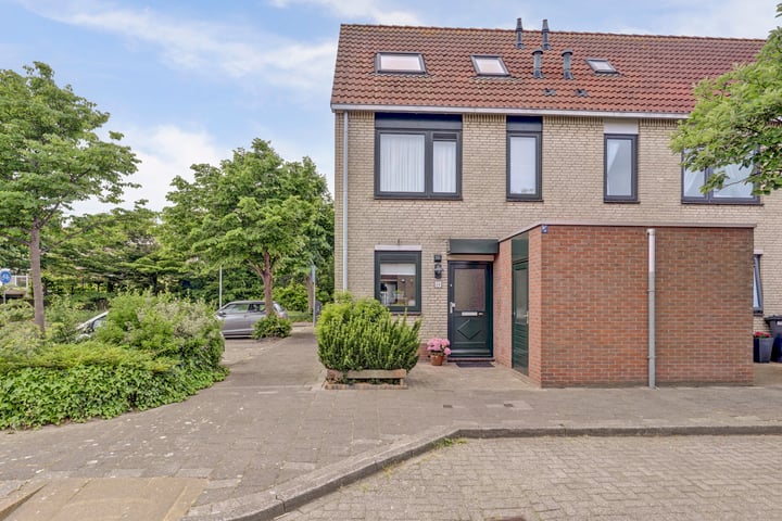 Zeearend 24 in Monster foto