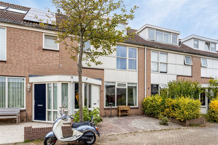 Zeekoet 9 in Noordwijk foto