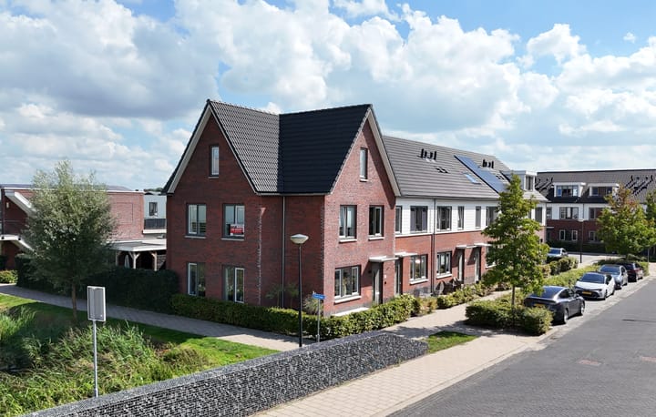 Zeekool 1 in Roelofarendsveen foto