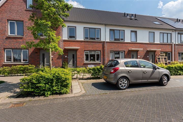 Zeekool 3 in Roelofarendsveen foto
