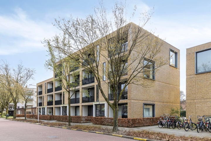 Zerboltstraat 2D in Zwolle foto