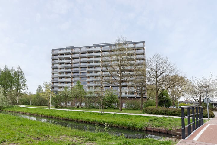 Zernikelaan 378 in Papendrecht foto