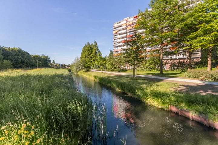 Zernikelaan 386 in Papendrecht foto