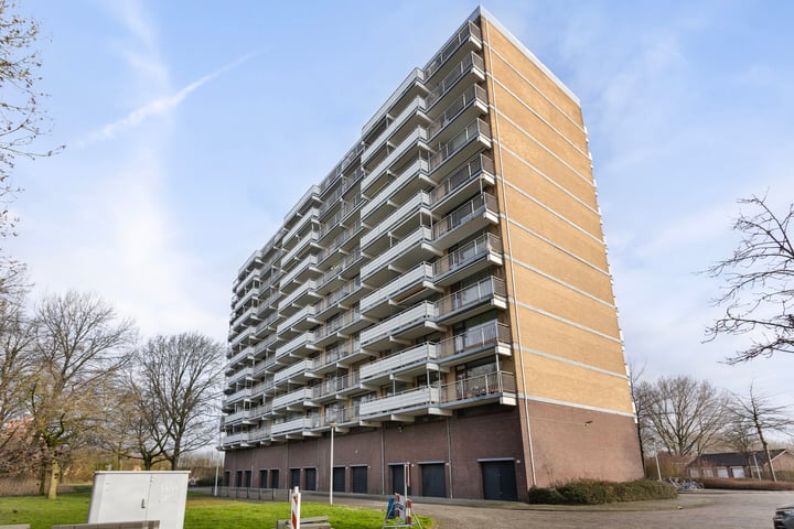 Zernikelaan 556 in Papendrecht foto