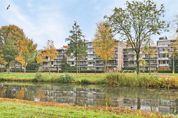 Zesde Buitenpepers 84 in 's-Hertogenbosch foto