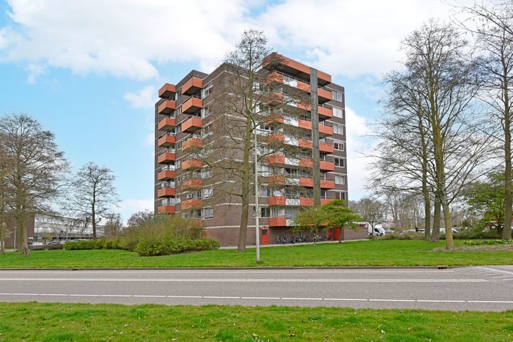Zevenblad 73 in Uithoorn foto