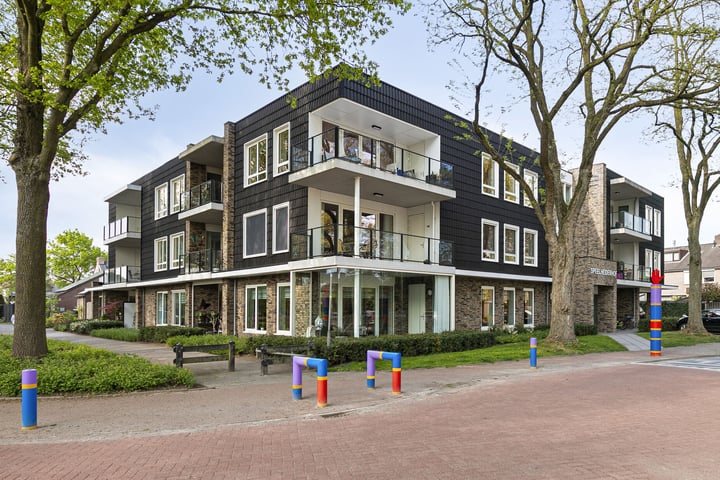 Zevensprong 59 in Best foto