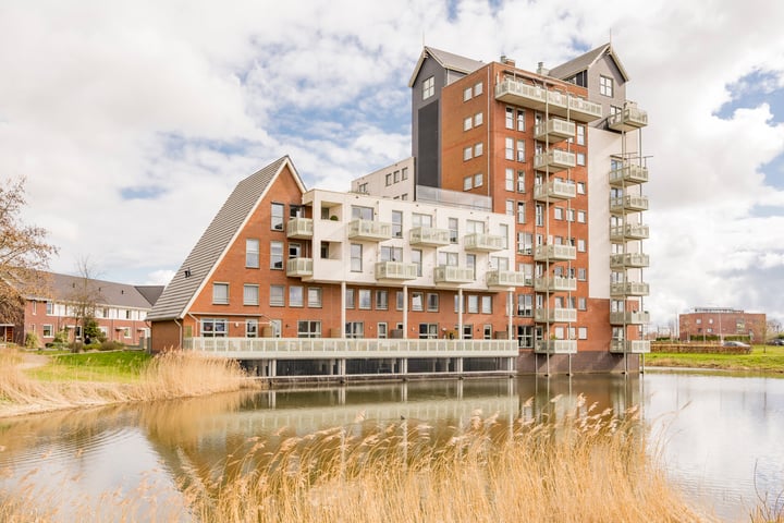 Zijdevlinder 4 in Nijkerk