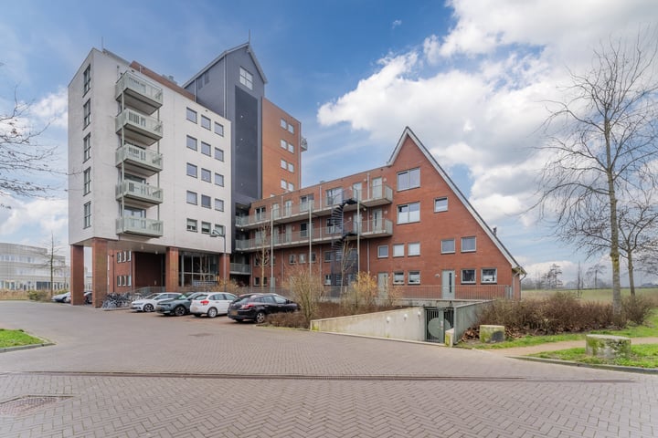 Zijdevlinder 62 in Nijkerk foto