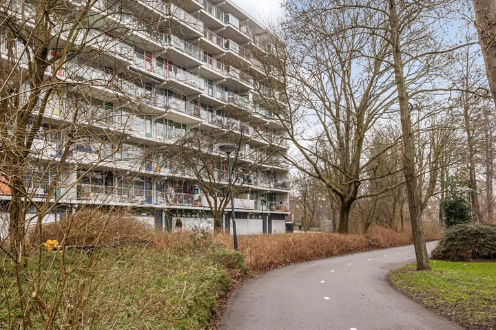 Zijldonk 125 in Leiden foto