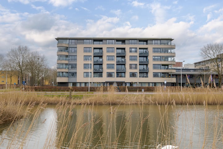Zijpe 134 in Zwolle foto