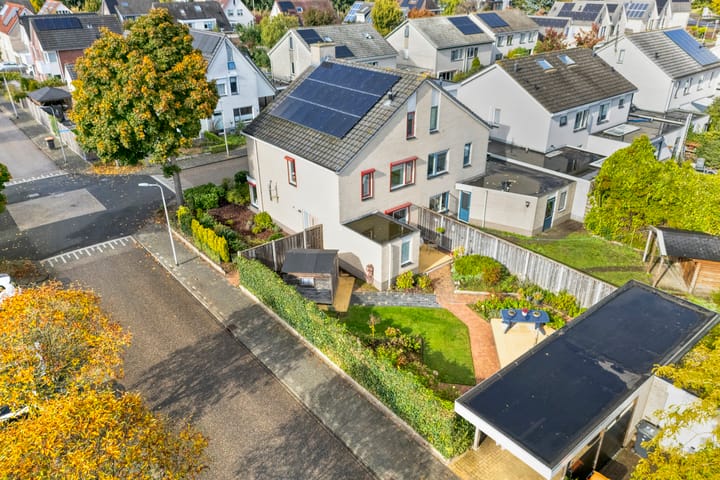 Zilverdistel 2 in Hardenberg