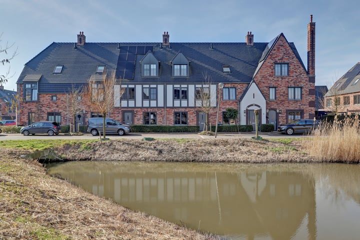 Zilverkarper 14 in Waddinxveen foto