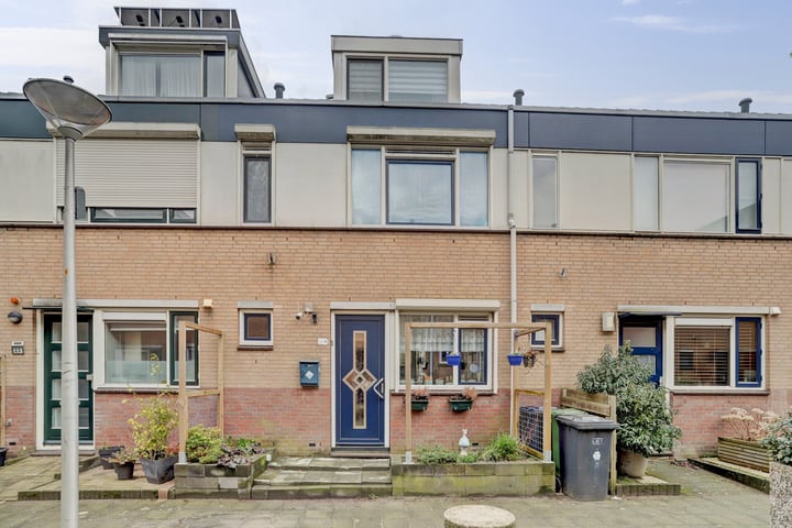 Zilvermeeuw 25 in De Lier foto