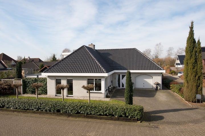Zilverreiger 15 in Emmen foto